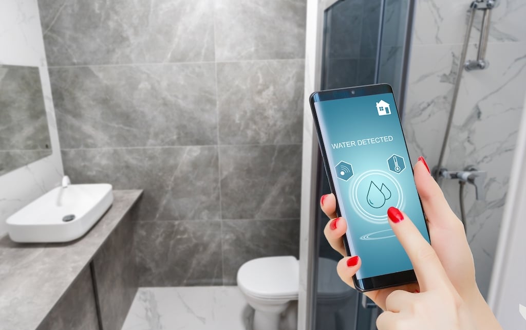Water leak sensor in home plumbing system